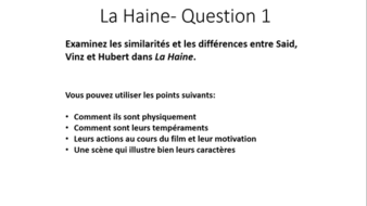 essay questions la haine