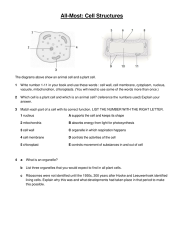 AQA Combined Science Trilogy: 4.1.1 Cell Structure | Teaching Resources