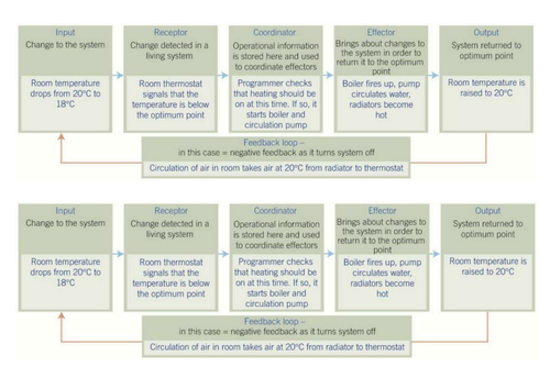 AQA A-level Biology (2016 specification). Section 7 Topic 17: 1 Introduction to homeostasis