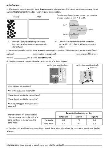 Active transport worksheet | Teaching Resources