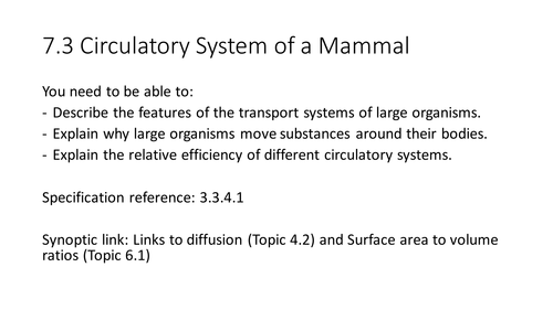 NEW AQA AS Biology 7.3 Circulatory system of a mammal