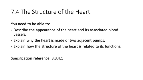 NEW AQA AS Biology 7.4 The structure of the heart