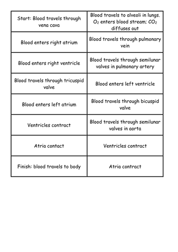 NEW AQA AS Biology 7.5 The cardiac cycle