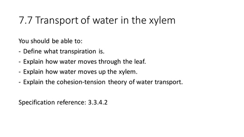 NEW AQA AS Biology 7.7 Transport of water in the xylem