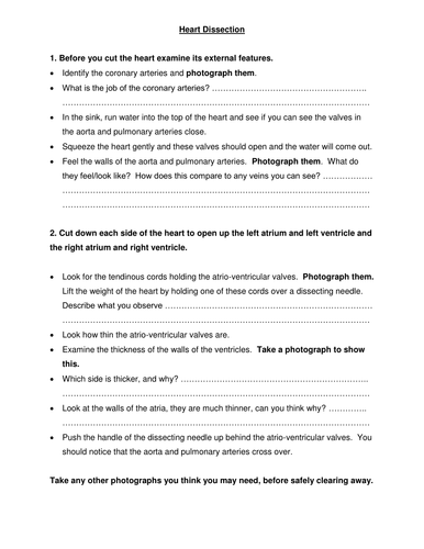 NEW AQA AS Biology Required practical 5 Heart dissection