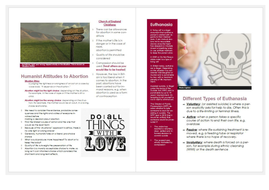 Passive euthanasia image