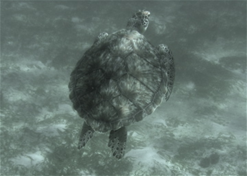 jpg, 41.22 KB
