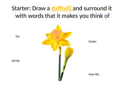 Daffodils KS3 Poetry Lesson | Teaching Resources