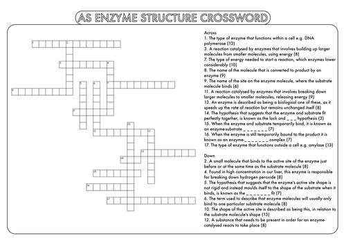 A Level Biology: Crossword Pack on Enzyme Structure and Activity