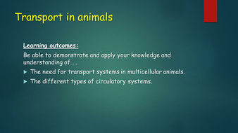 OCR A Level Biology (H020) Module 3 - Transport in animals | Teaching ...