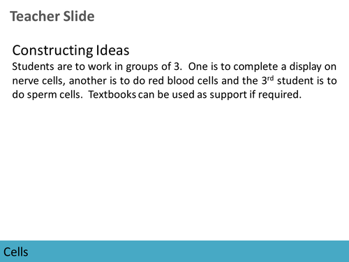 Cells: Specialised Animal Cells