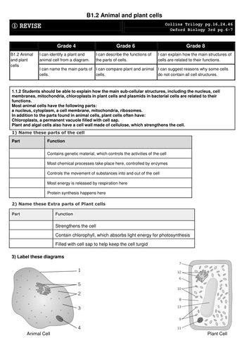 docx, 169.32 KB