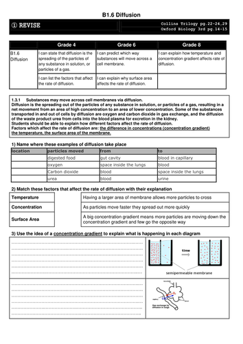 docx, 127.51 KB