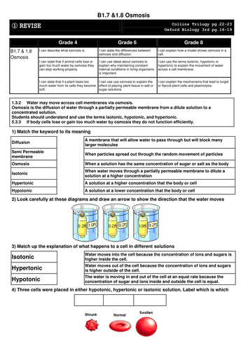 docx, 140.25 KB