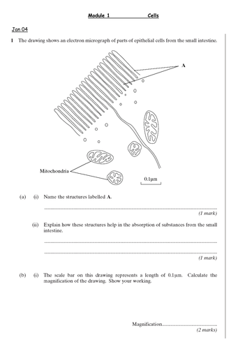 A level Biology - CELLS teaching materials | Teaching Resources