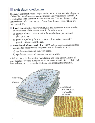 A level Biology - CELLS teaching materials