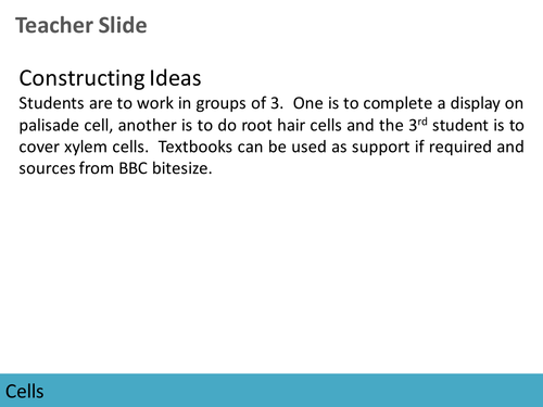 Cells: Specialised Plant Cells