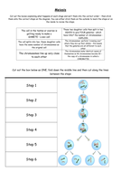 Meiosis Foldable | Teaching Resources