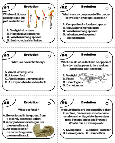 Evolution Task Cards | Teaching Resources