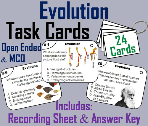 Evolution Task Cards | Teaching Resources