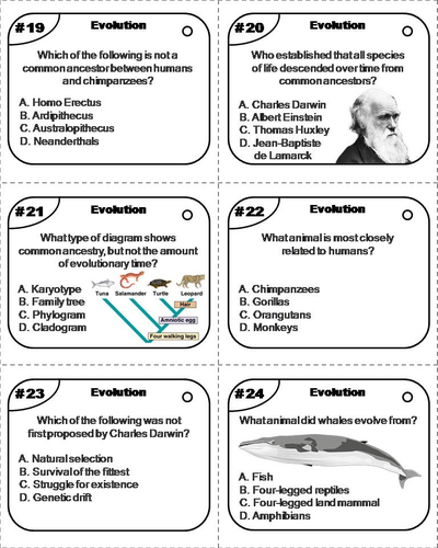 Evolution Task Cards | Teaching Resources