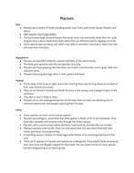 Non chronological report worksheet ks2 picture