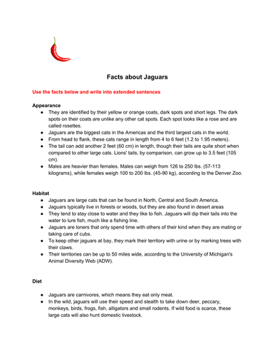 Chronological reports templates image