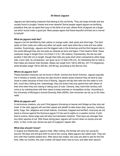 Big Write: Non-Chronological Reports Amazon Animals Year 6 Year 5