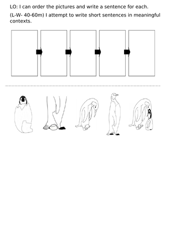 Penguin life cycle