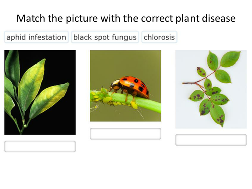 5.10 More about plant diseases 5.11 Plant defence responses AQA GCSE Biology  specification