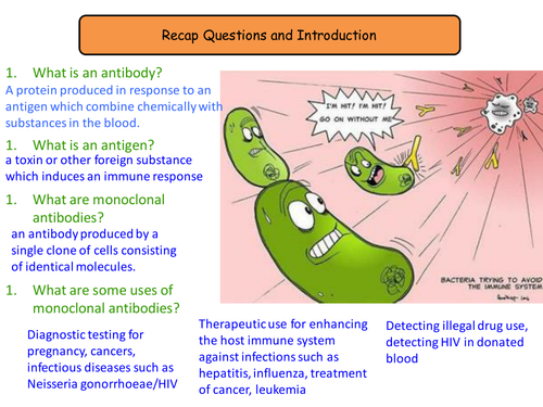 6.5 and 6.6 Making and using monoclonal antibodies NEW GCSE Biology specification