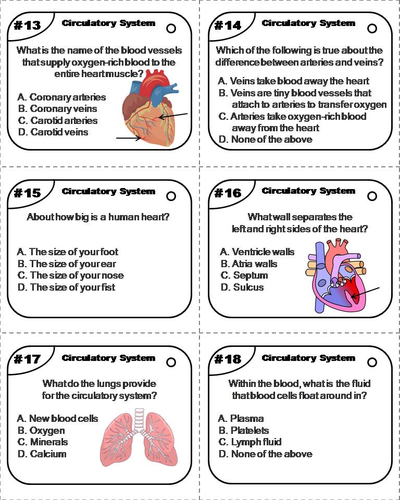 Heart and Circulatory System Task Cards | Teaching Resources