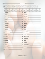 Body Parts Decoding Worksheet | Teaching Resources