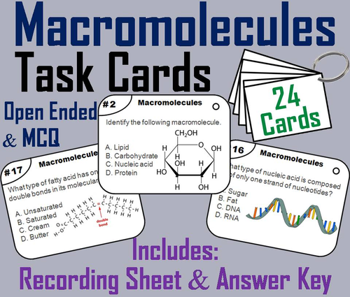 Macromolecules Task Cards/ Carbon Compounds: Carbohydrates, Lipids, Proteins, and Nucleic Acids