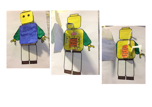 Digestive System Brickman foldable 3D model