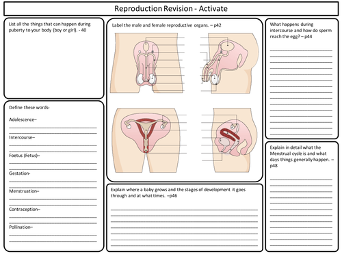 KS3 Reproduction revision sheets for Activate Science