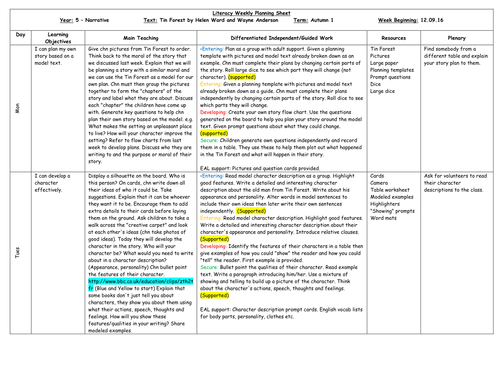 Year 5 Literacy Planning - Tin Forest | Teaching Resources