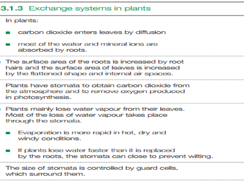 B3.1.3 gas exchange in plants old spec AQA