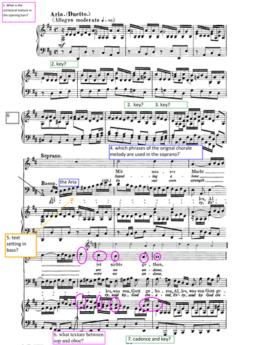 Analysis Questions - Worksheet for Bach Cantata BWV 80 MVT 2  Edexcel Music AS and A Level