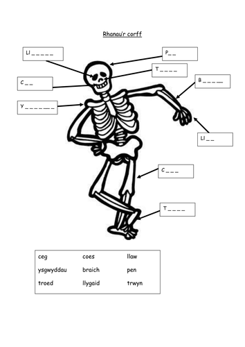 docx, 30.14 KB