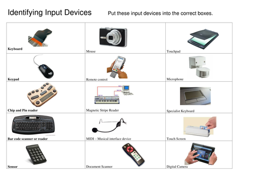 assignment on input devices