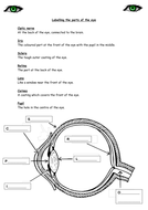 The Human Eye - a Primary Science Lesson | Teaching Resources