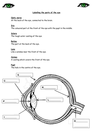 docx, 223.35 KB