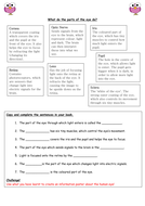 The human eye primary science worksheets | Teaching Resources