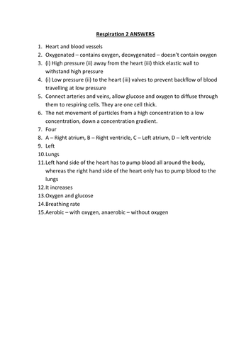 docx, 14.19 KB