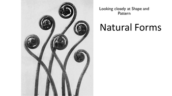 Natural Forms - Shape and collage mini lesson | Teaching Resources