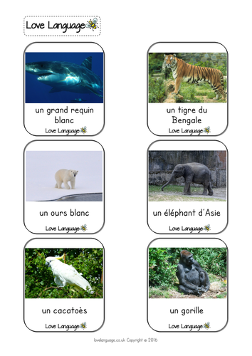 French endangered species vocabulary cards