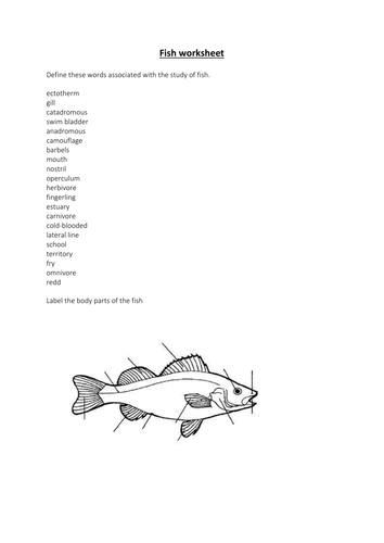 docx, 48.73 KB