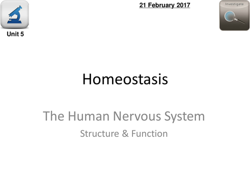 AQA Biology 4.5 - L2 The Nervous System