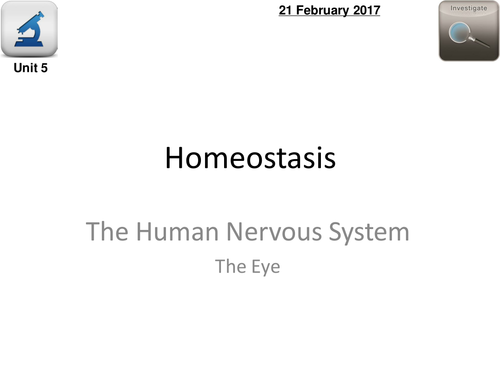 AQA Biology 4.5 - L5 The Eye